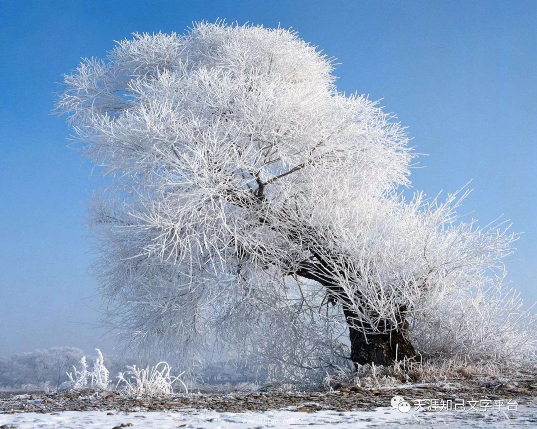 雪落盘山，冬日里的诗与远方