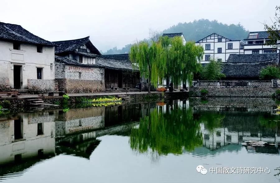 江南春深，樱落绍兴——一场与水乡的诗意邂逅