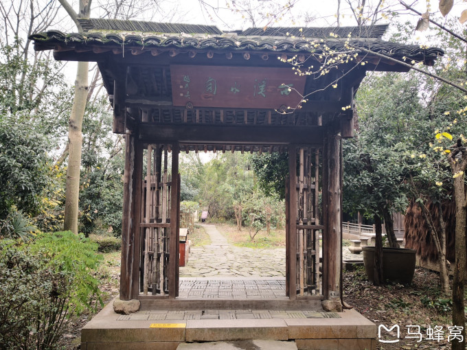 杭州西溪，一曲溪流一曲烟，企业团建的诗意栖居