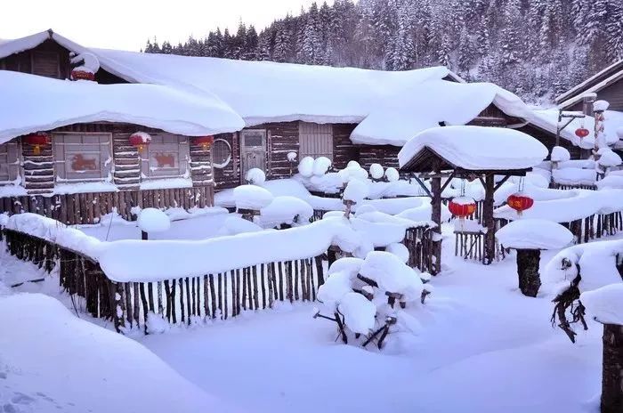 从花城到雪国，广州人奔赴东北雪乡的冰雪奇缘
