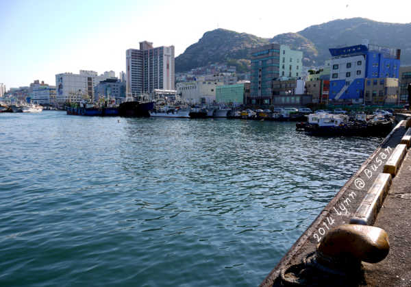 千年海防韵 滨海新镇海——宁波镇海区旅游攻略 千年海防韵 滨海新镇海——宁波镇海区旅游攻略