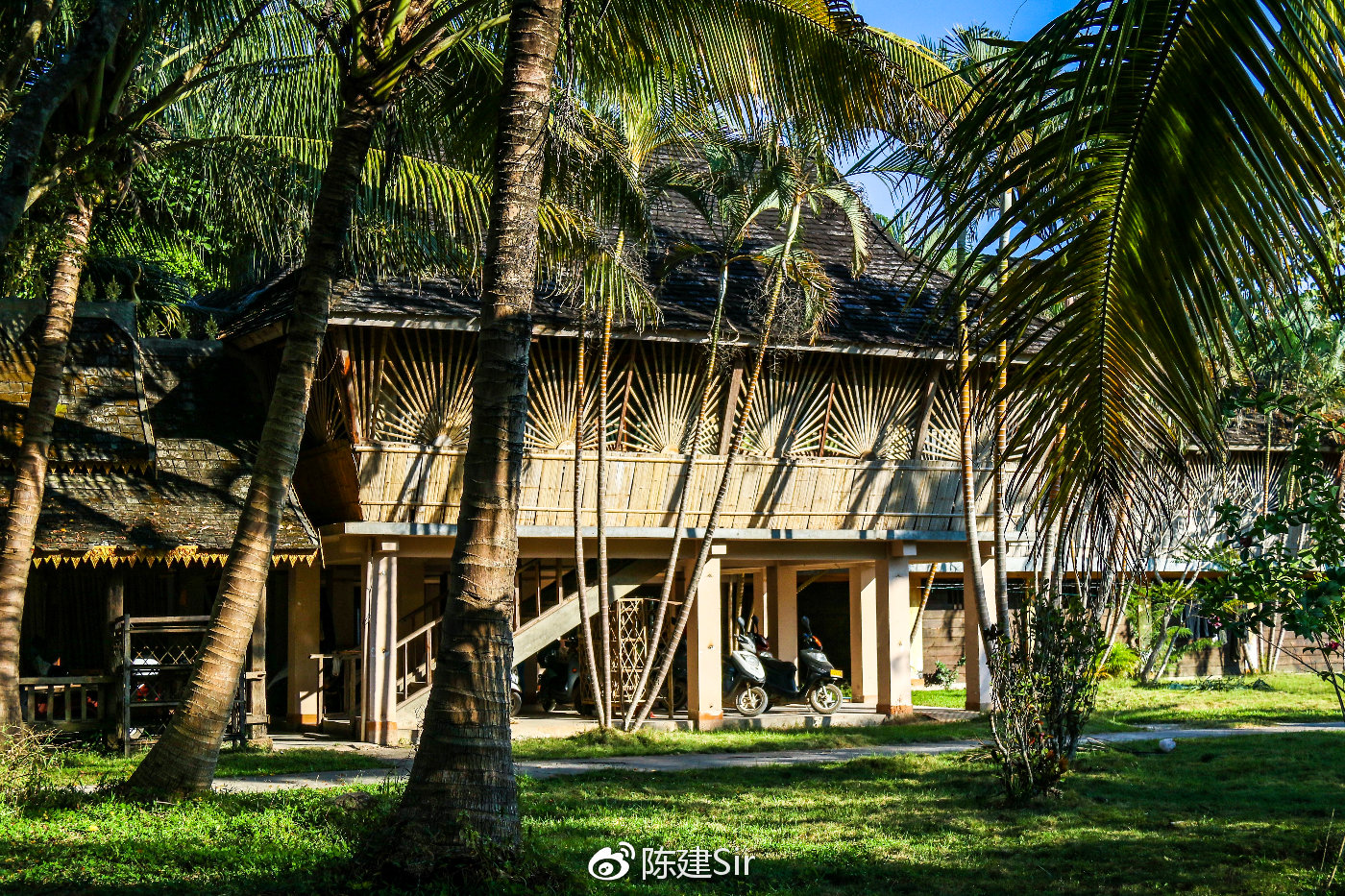 西双版纳的冬日暖阳，在热带风情里邂逅冬天的另一种模样