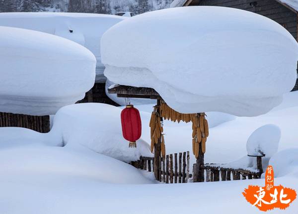 冬日童话漫游，在德国邂逅雪与暖的浪漫