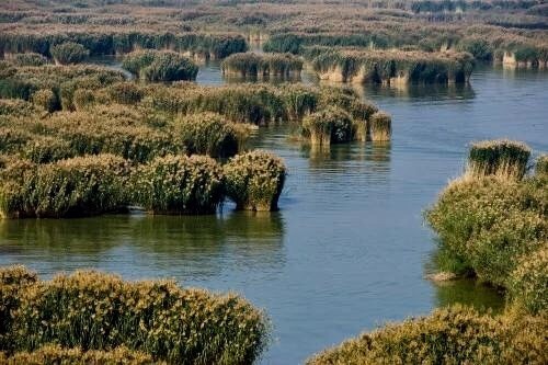 响沙湖，聆听大地的呼吸，触摸会唱歌的沙